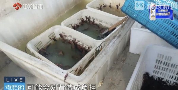 南京网红店“昆季龙虾”用酸臭溶液洗虾、多日不换水，商场监管部门已责令其收歇整改
