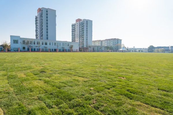 融入下层治理！老港镇这些东谈主大代表的建言促成了匹夫呼声化为一桩 “好意思事”